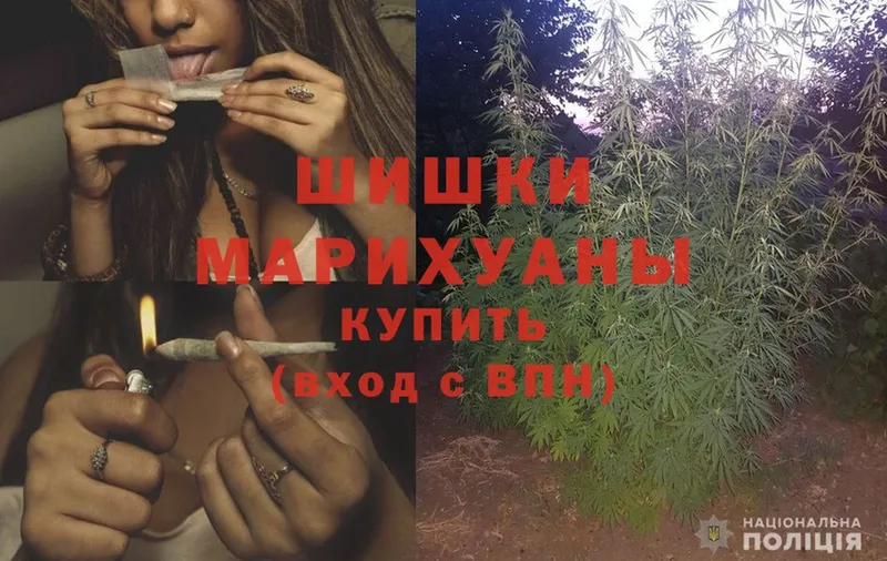 купить закладку  Вилючинск  Бошки Шишки OG Kush 